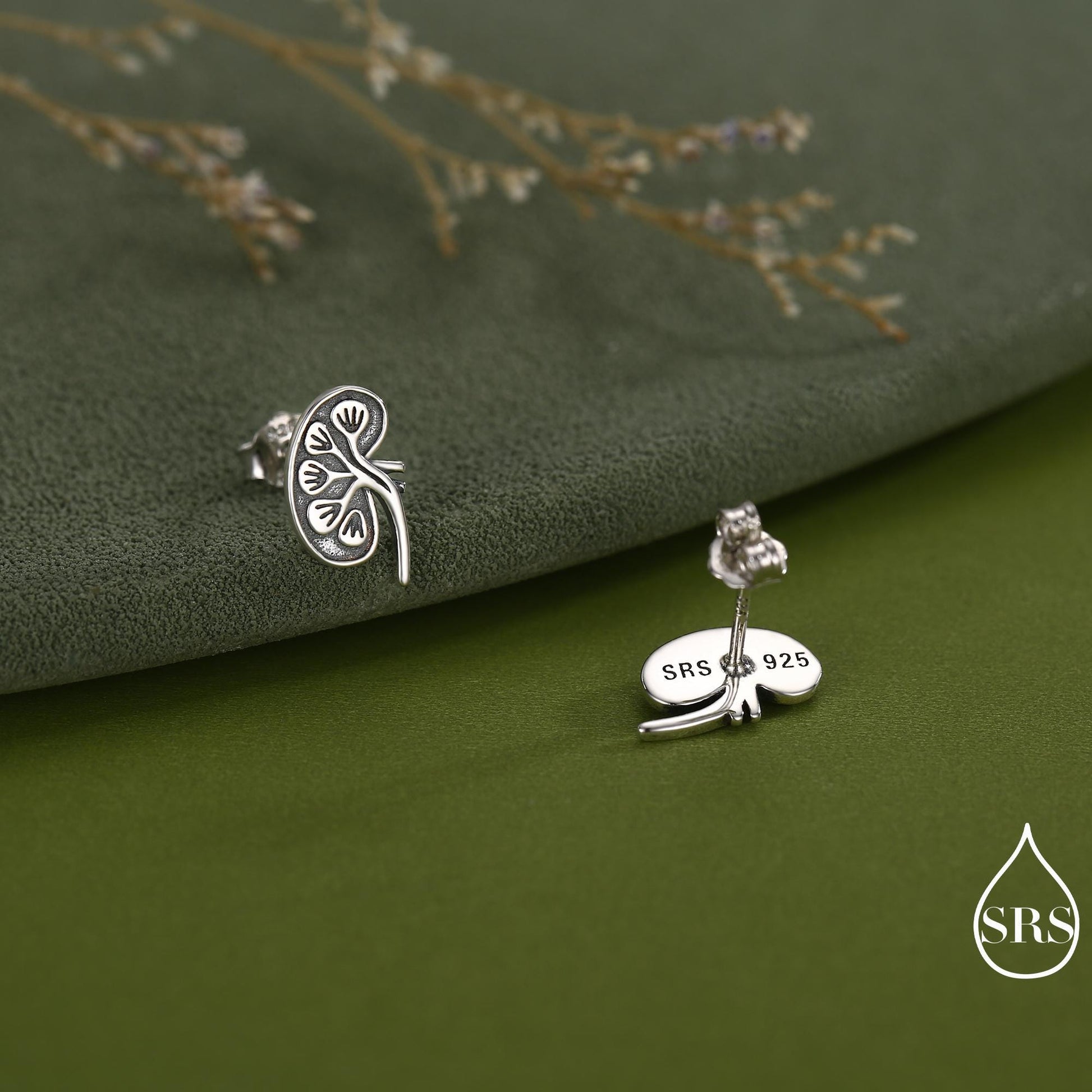 Anatomical Kidney Stud Earrings in Sterling Silver, Silver or Gold or Rose Gold, Science Jewellery, Science Earrings, Biology Jewellery