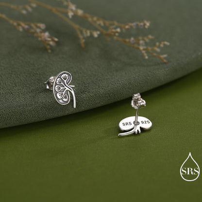 Anatomical Kidney Stud Earrings in Sterling Silver, Silver or Gold or Rose Gold, Science Jewellery, Science Earrings, Biology Jewellery