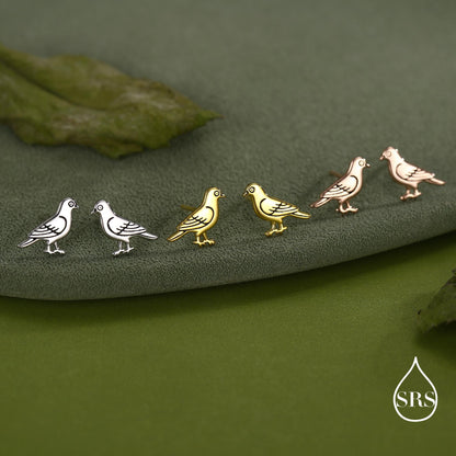 Cute Pigeon Bird Stud Earrings in Sterling Silver