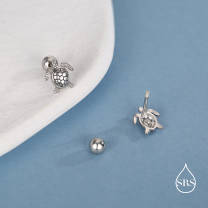 Sterling Silver Turtle Screw Back Earrings