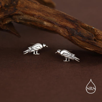 Crow Stud Earrings in Sterling Silver with Oxidised Finish
