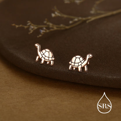 Sterling Silver Tortoise Stud Earrings, Also in Gold and Rose Gold Finish, Turtle Earrings, Quirky, and Full of Character