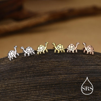 Sterling Silver Tortoise Stud Earrings, Also in Gold and Rose Gold Finish, Turtle Earrings, Quirky, and Full of Character