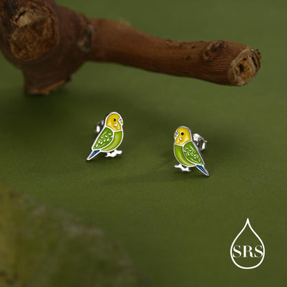 Sterling Silver Green Enamel Budgie Stud Earring, Pet parakeets Earrings, Nature-Inspired Animal Earring, Parrot Earrings