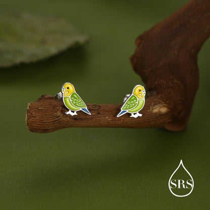 Sterling Silver Green Enamel Budgie Stud Earring, Pet parakeets Earrings, Nature-Inspired Animal Earring, Parrot Earrings