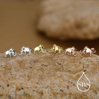 Mammoth Elephant Stud Earrings in Sterling Silver, Nature Inspired Animal Earrings