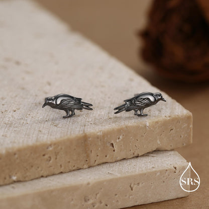 Crow Stud Earrings in Sterling Silver with Black Rhodium Coating, Bird Earrings