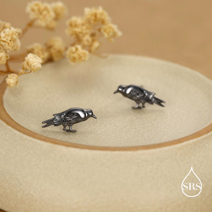 Crow Stud Earrings in Sterling Silver with Black Rhodium Coating, Bird Earrings