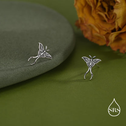 Lunar Moth Sterling Silver Stud Earrings with Oxidised Finish