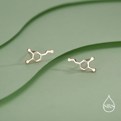 Happiness Molecules Dopamine Stud Earrings in Sterling Silver