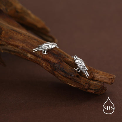 Crow Stud Earrings in Sterling Silver with Oxidised Finish