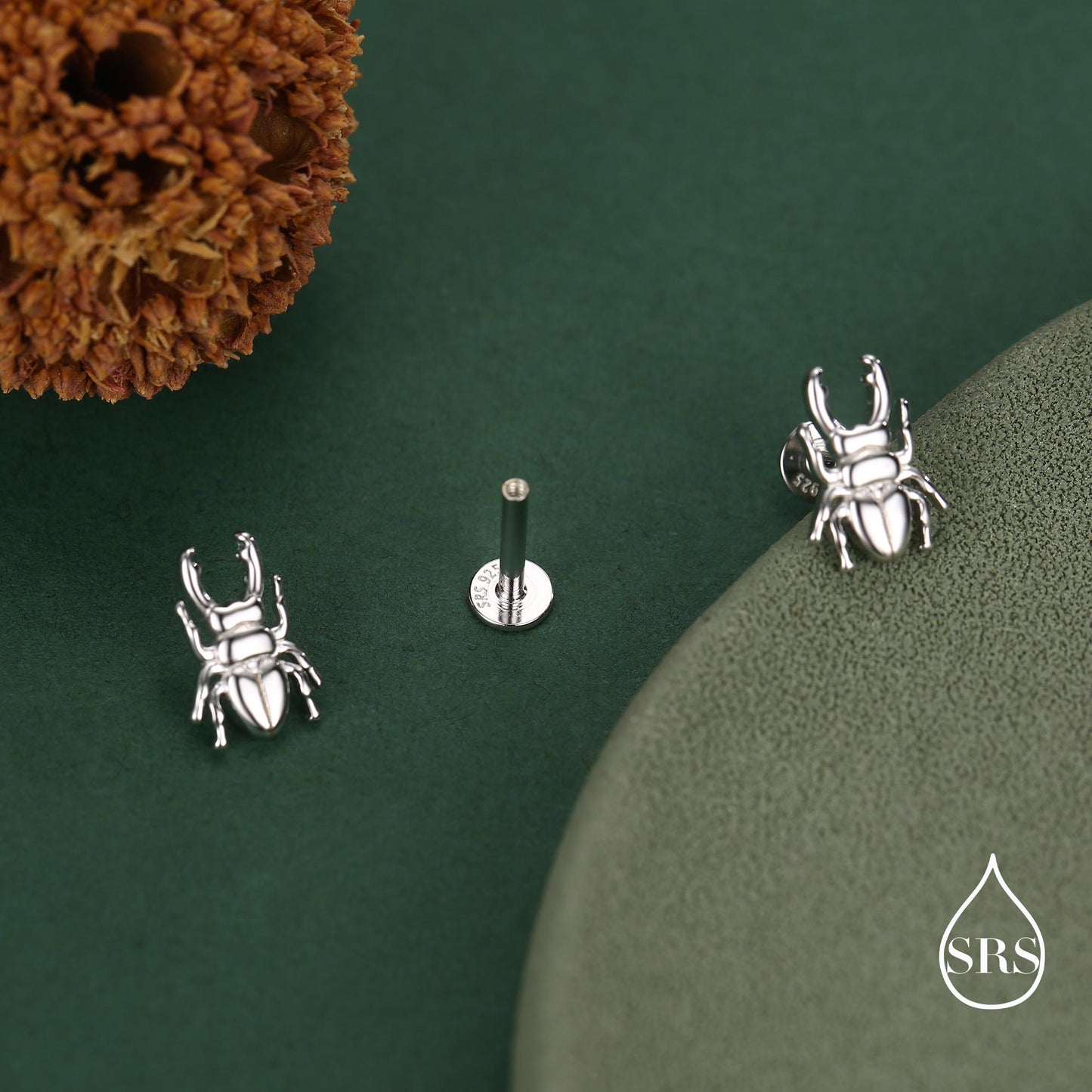 Sterling Silver Stag Beetle 16g Flat Back Stud Earrings