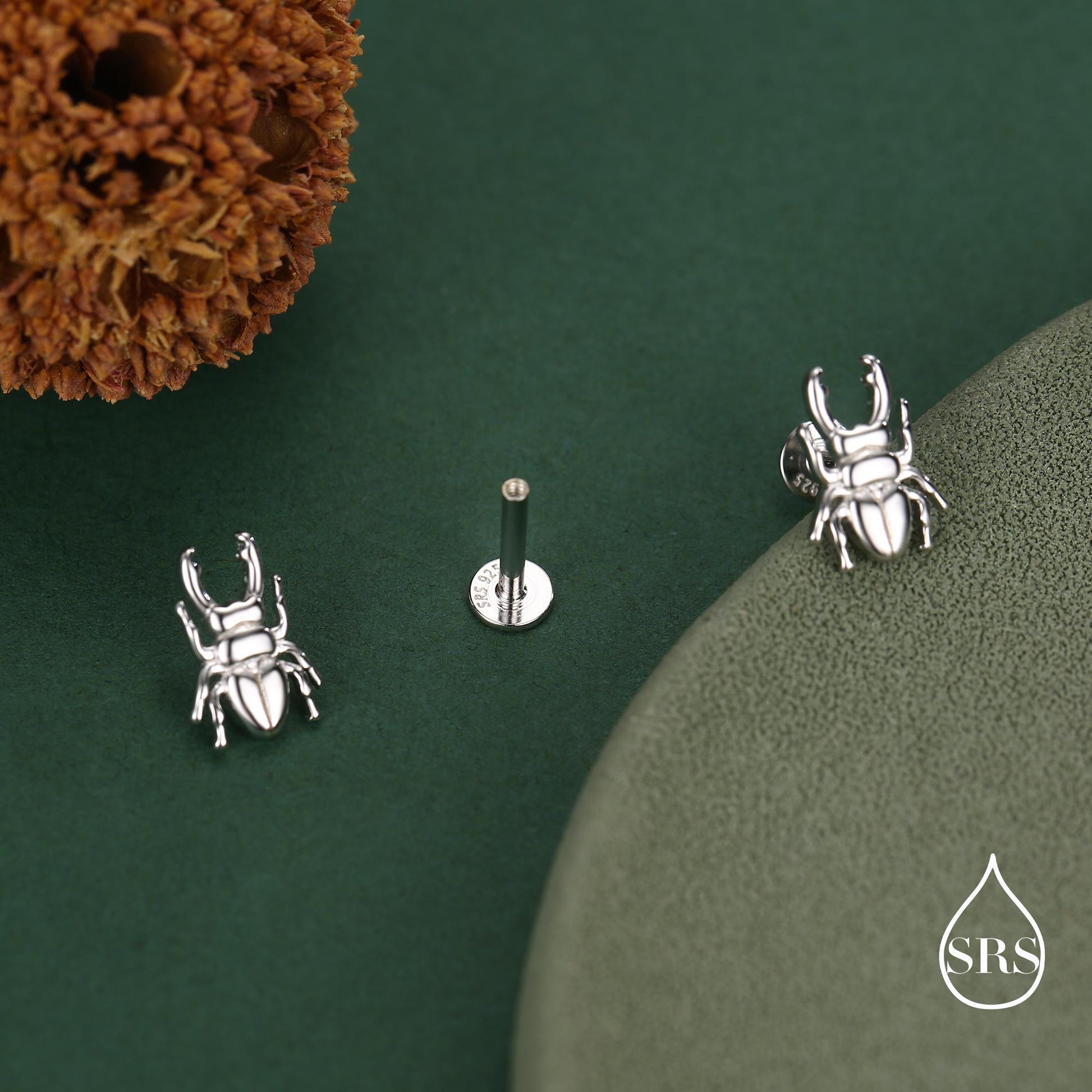 Sterling Silver Stag Beetle 16g Flat Back Stud Earrings