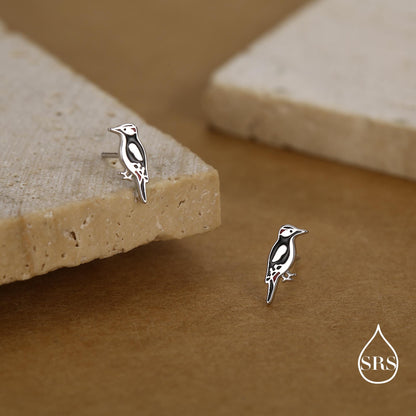 Sterling Silver Great Spotted Woodpecker Stud Earrings, Bird Earrrings