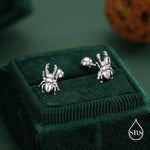 Sterling Silver Beetle 18G Screw Back Stud Earring with Ball Back