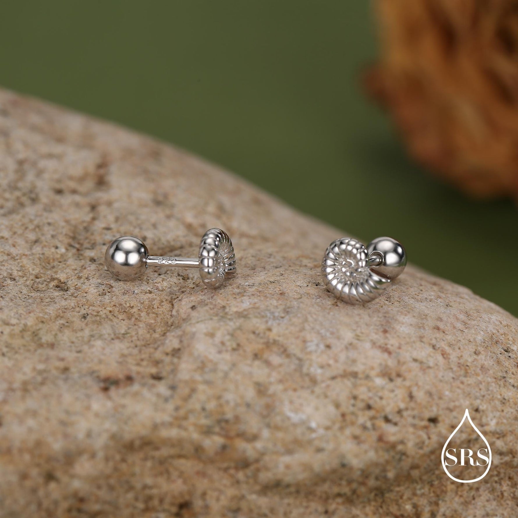 Sterling Silver Ammonite Nautilus Shell 16G Screw Back Stud Earrings with Ball Backs