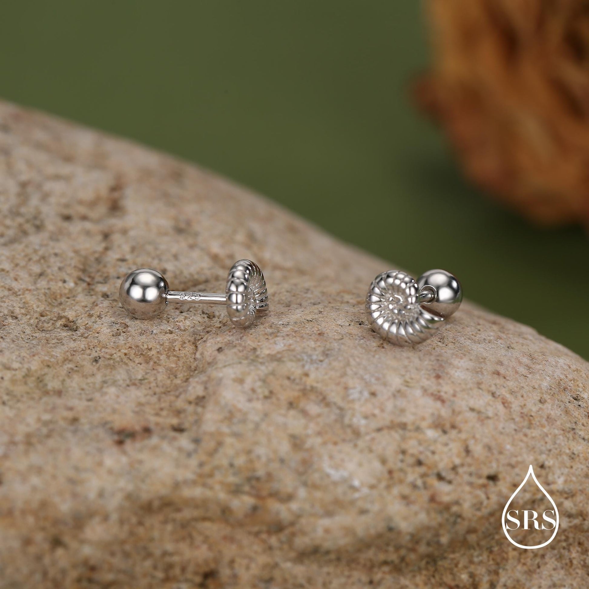 Sterling Silver Ammonite Nautilus Shell 16G Screw Back Stud Earrings with Ball Backs
