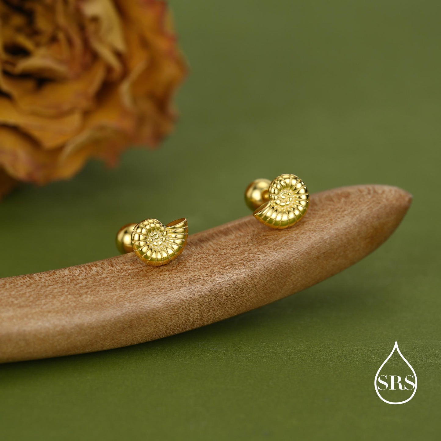 Sterling Silver Ammonite Nautilus Shell 16G Screw Back Stud Earrings with Ball Backs