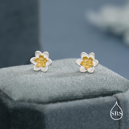 Sterling Silver Water Lily Stud Earrings with Gold-Tone Centre