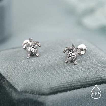 Turtle 16G Flat Back Stud Earrings in Sterling Silver