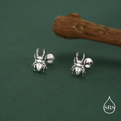 Sterling Silver Stag Beetle 16g Flat Back Stud Earrings