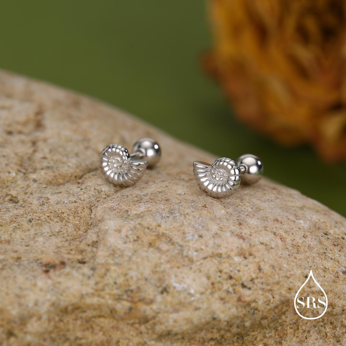 Sterling Silver Ammonite Nautilus Shell 16G Screw Back Stud Earrings with Ball Backs