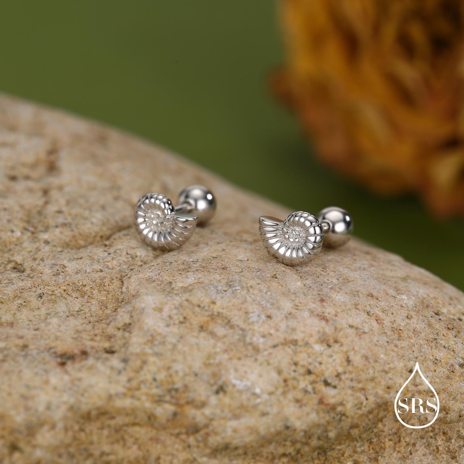 Sterling Silver Ammonite Nautilus Shell 16G Screw Back Stud Earrings with Ball Backs