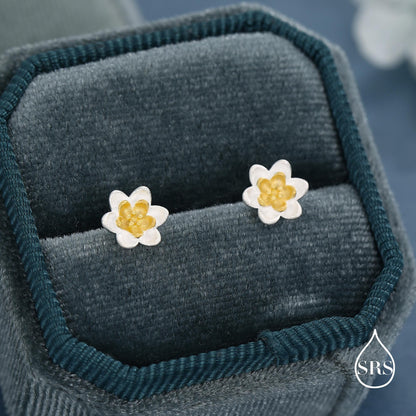 Sterling Silver Water Lily Stud Earrings with Gold-Tone Centre