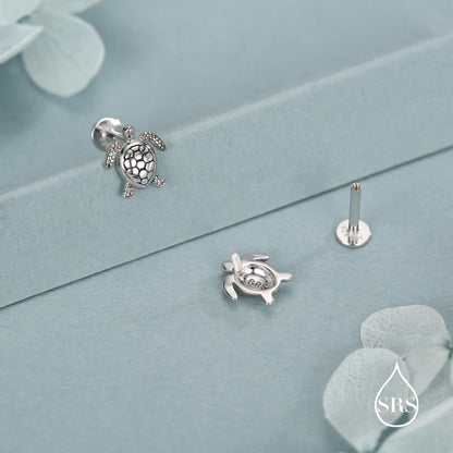 Turtle 16G Flat Back Stud Earrings in Sterling Silver