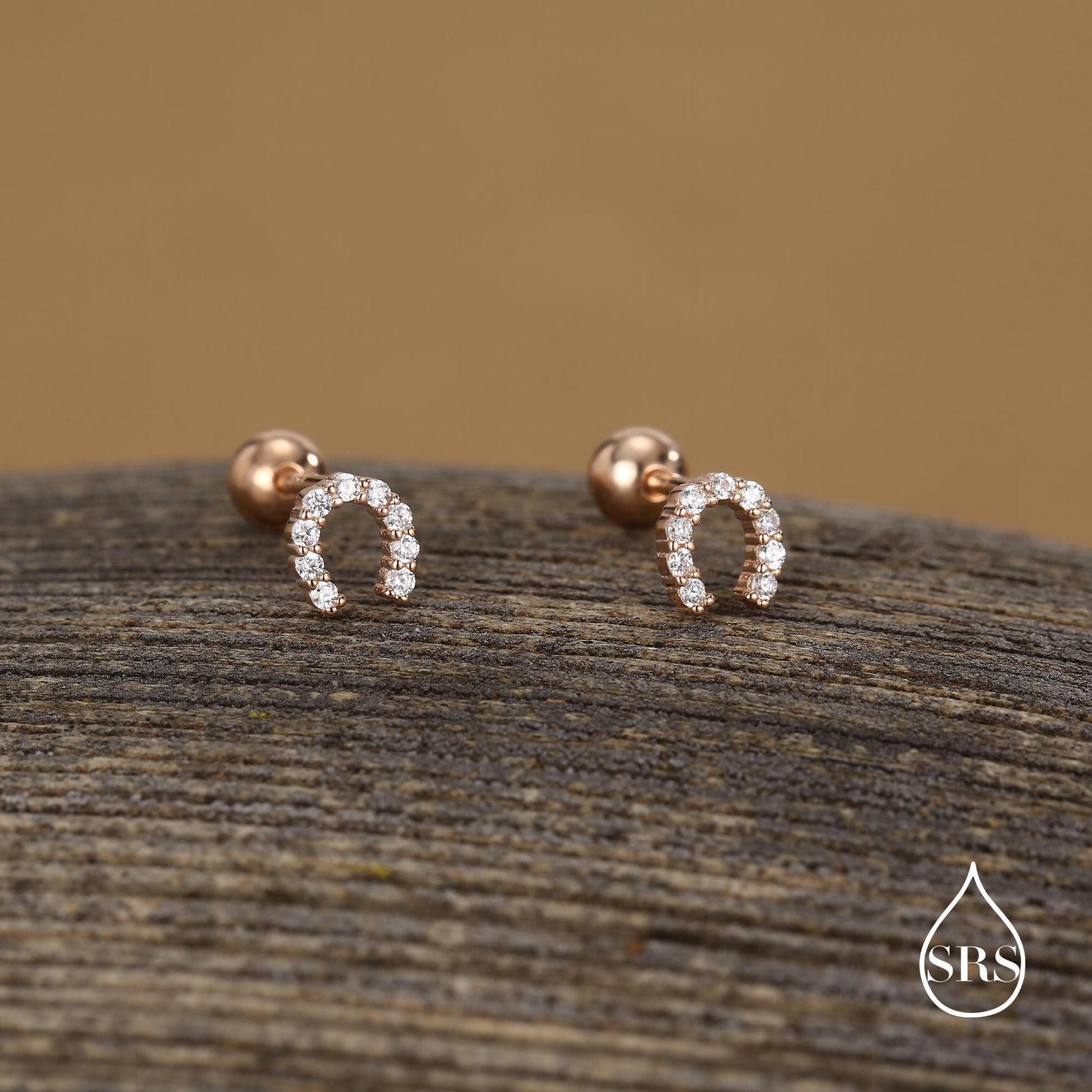 Sterling Silver CZ Horseshoe 18G Screw Back Stud Earrings with Ball Backs