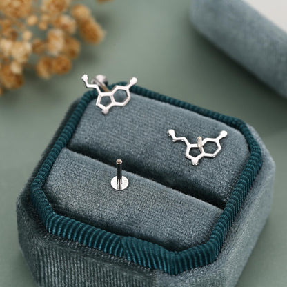 Sterling Silver Serotonin Molecule 16G Flat Back Labret Earrings