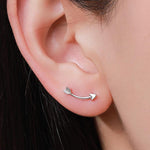 May include: A silver arrow earring with a curved design. The earring is worn in the left earlobe.