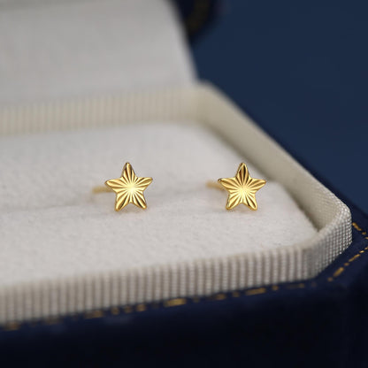 Sterling Silver Sunburst Star Stud Earrings