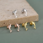 Sterling Silver Dolphin 18G Screw Back Earrings with Ball Backs