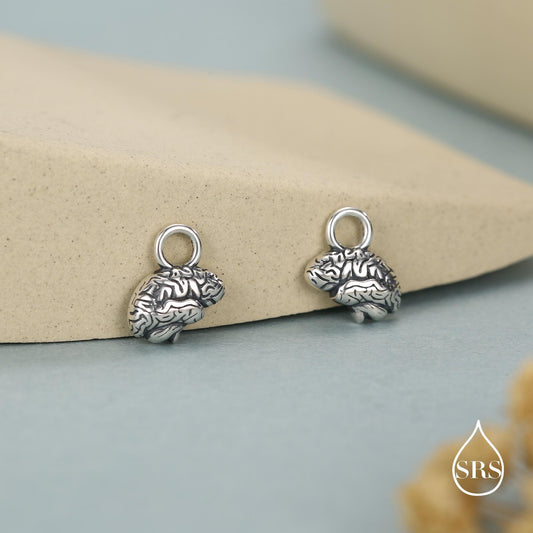 Sterling Silver Anatomical Brain Charms for Huggie Hoops
