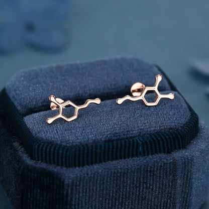 Happiness Molecules Dopamine 16G Flat Back Labret Earrings in Sterling Silver