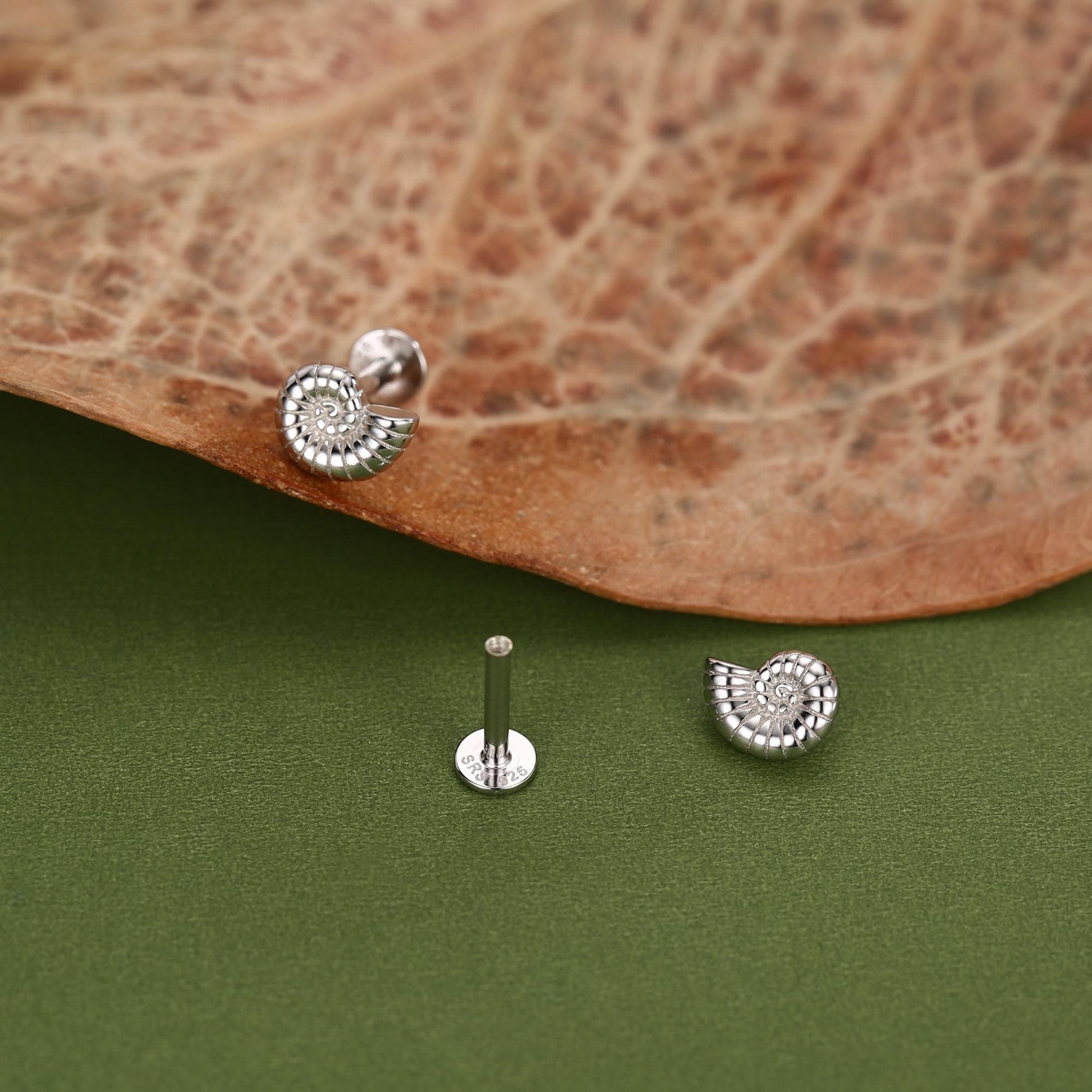 Sterling Silver Ammonite 16G Flat Back Labret Earrings