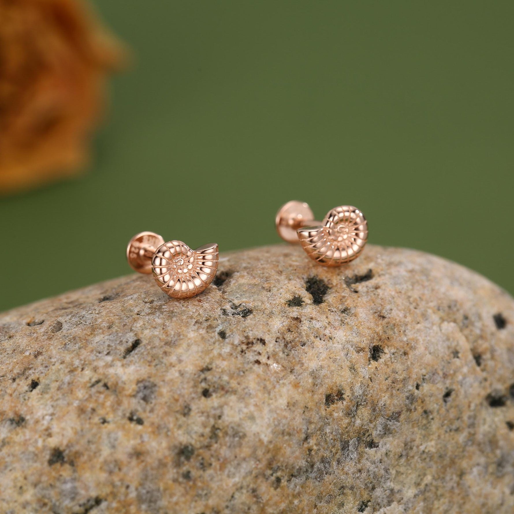 Sterling Silver Ammonite 16G Flat Back Labret Earrings