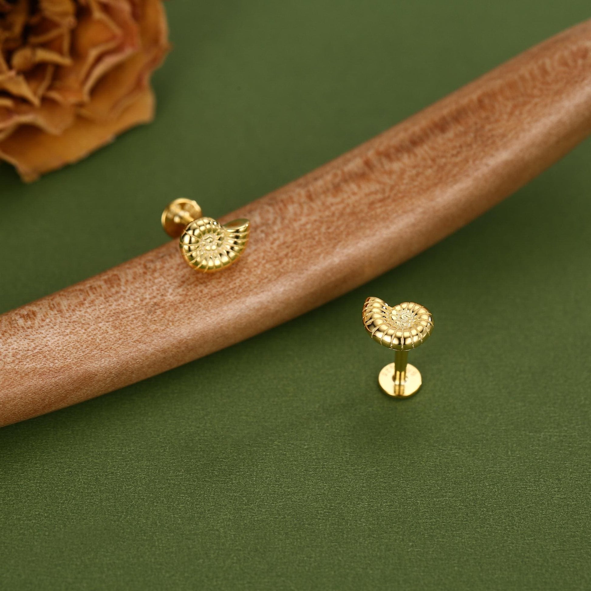 Sterling Silver Ammonite 16G Flat Back Labret Earrings