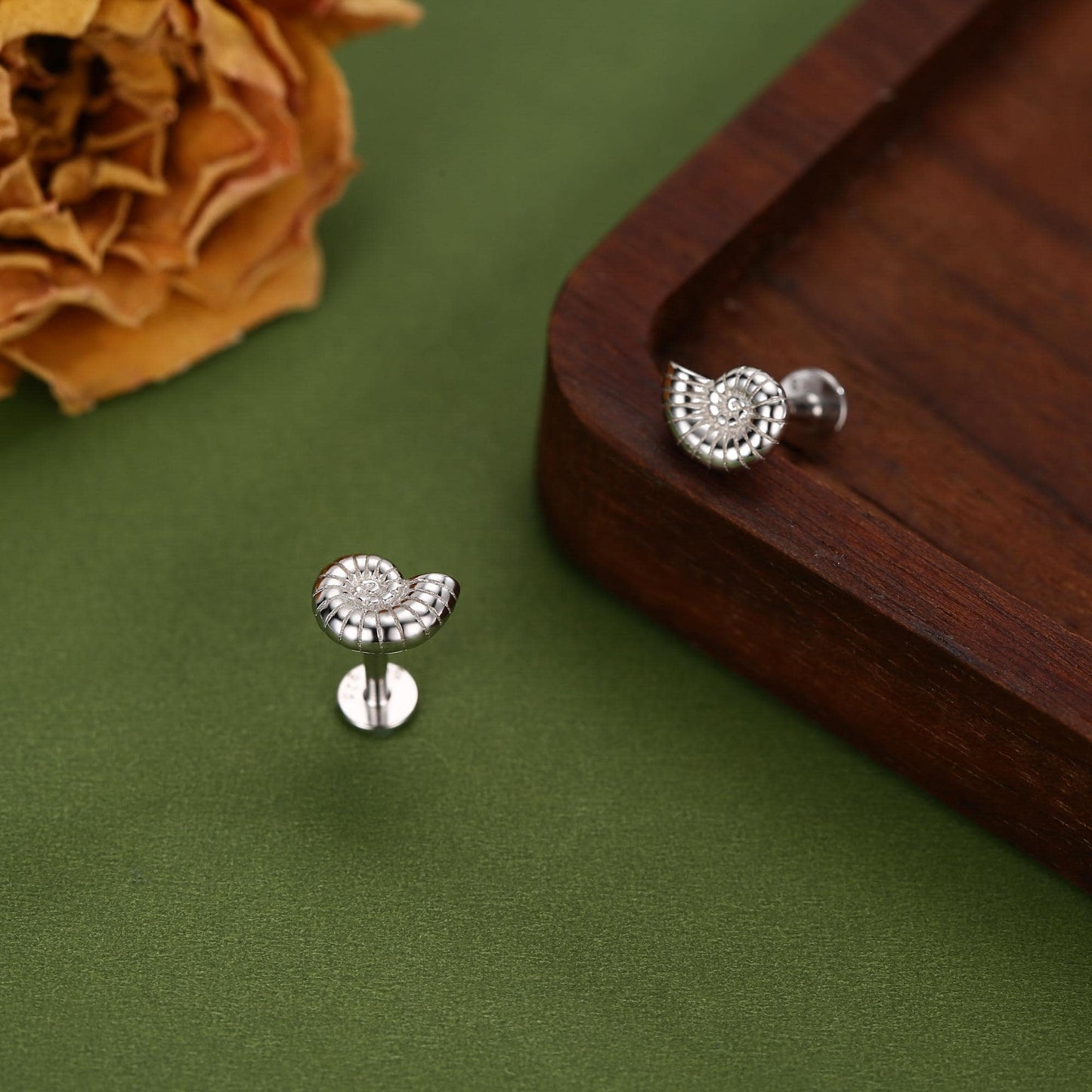 Sterling Silver Ammonite 16G Flat Back Labret Earrings