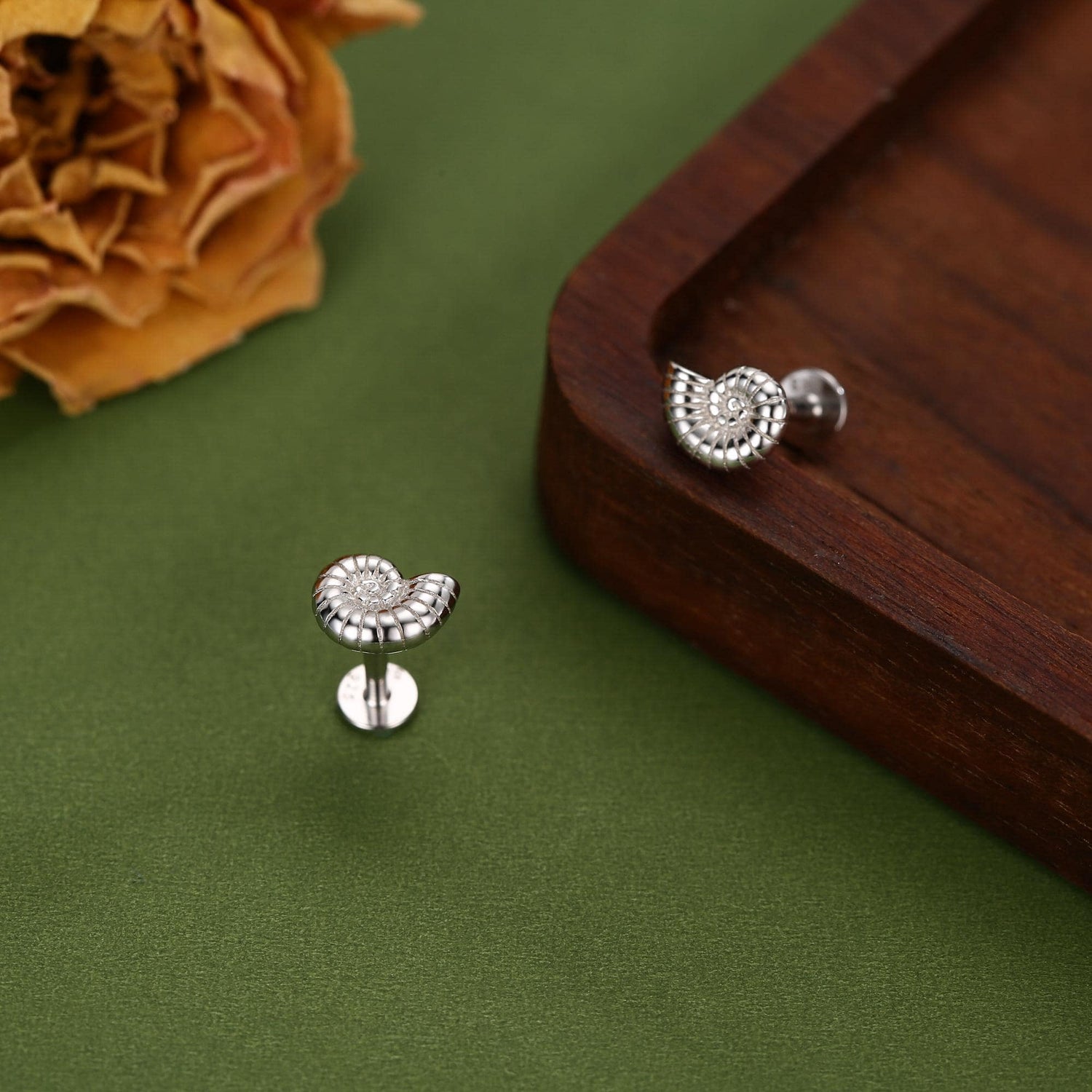 Sterling Silver Ammonite 16G Flat Back Labret Earrings