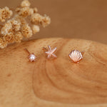 Sterling Silver Shell Starfish and Pearl Stud Earrings Set of 3