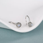 Genuine Labradorite Drop Earrings in Sterling Silver, Natural Labradorite Round Hook Earrings, Delicate Labradorite Earrings
