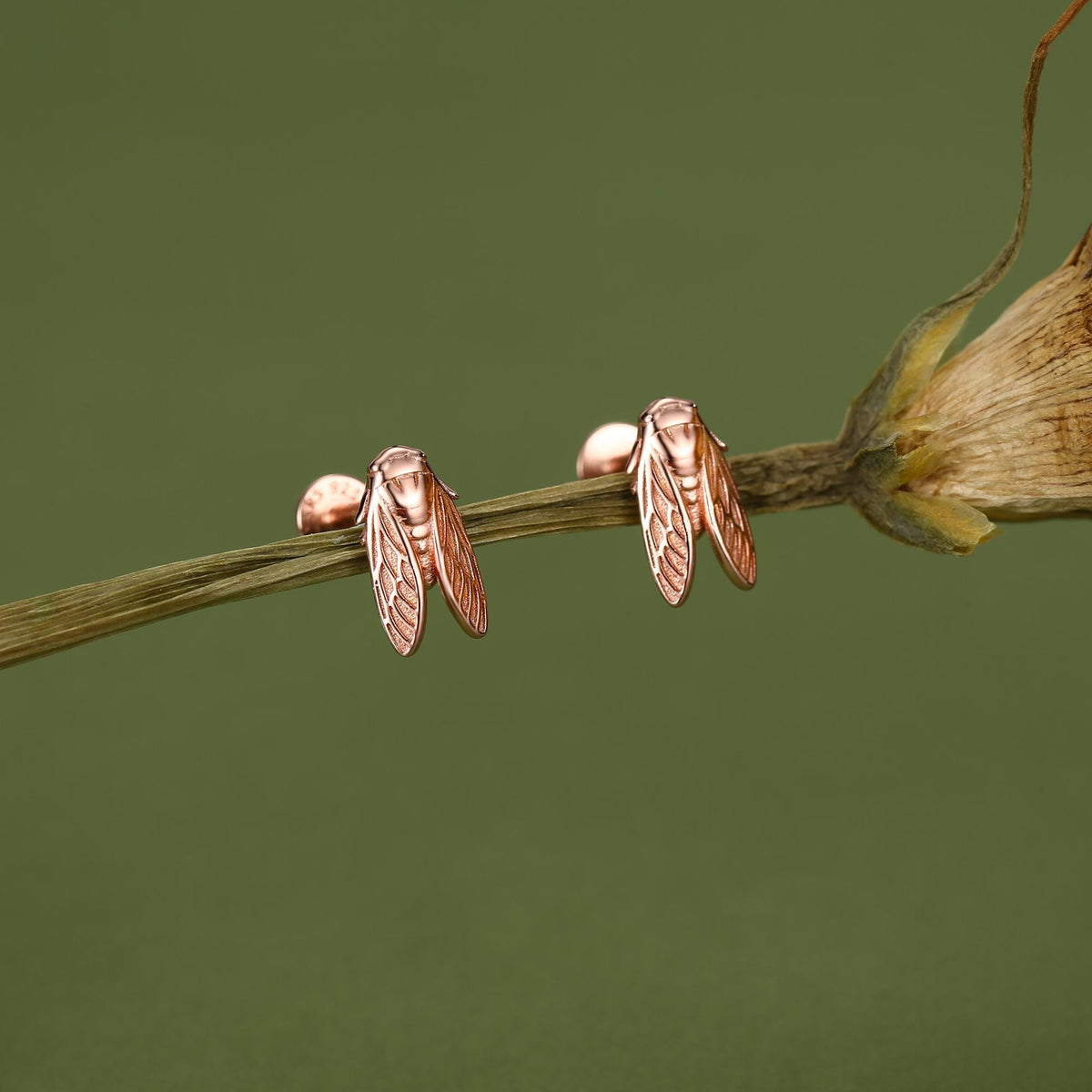 Sterling Silver Cicada 16G Flat Back Stud Earrings
