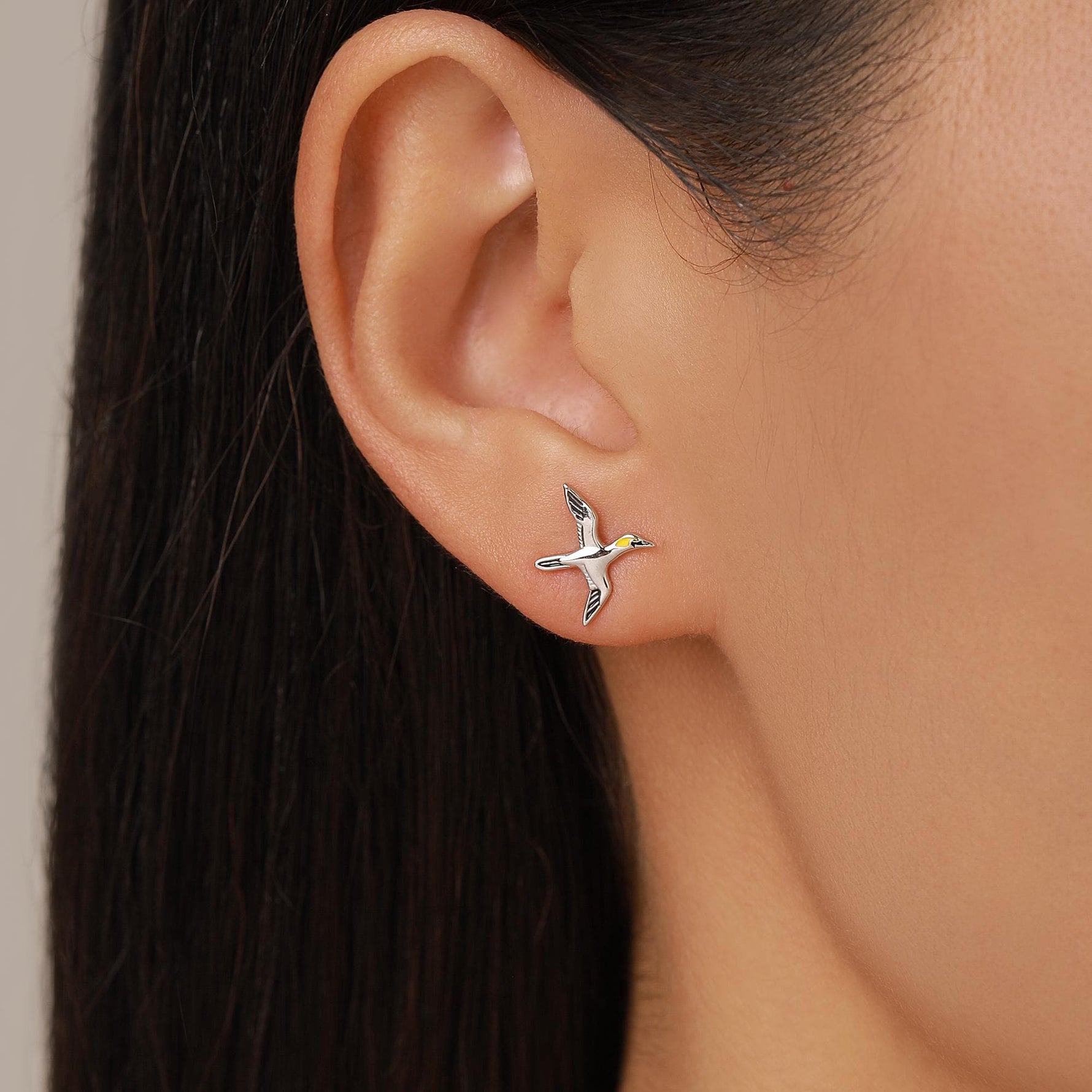 Sterling Silver Gannet Seabird Stud Earrings
