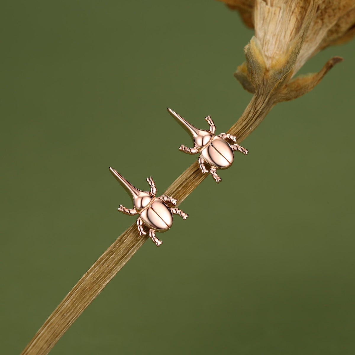 Sterling Silver Rhinoceros Beetle Stud Earrings
