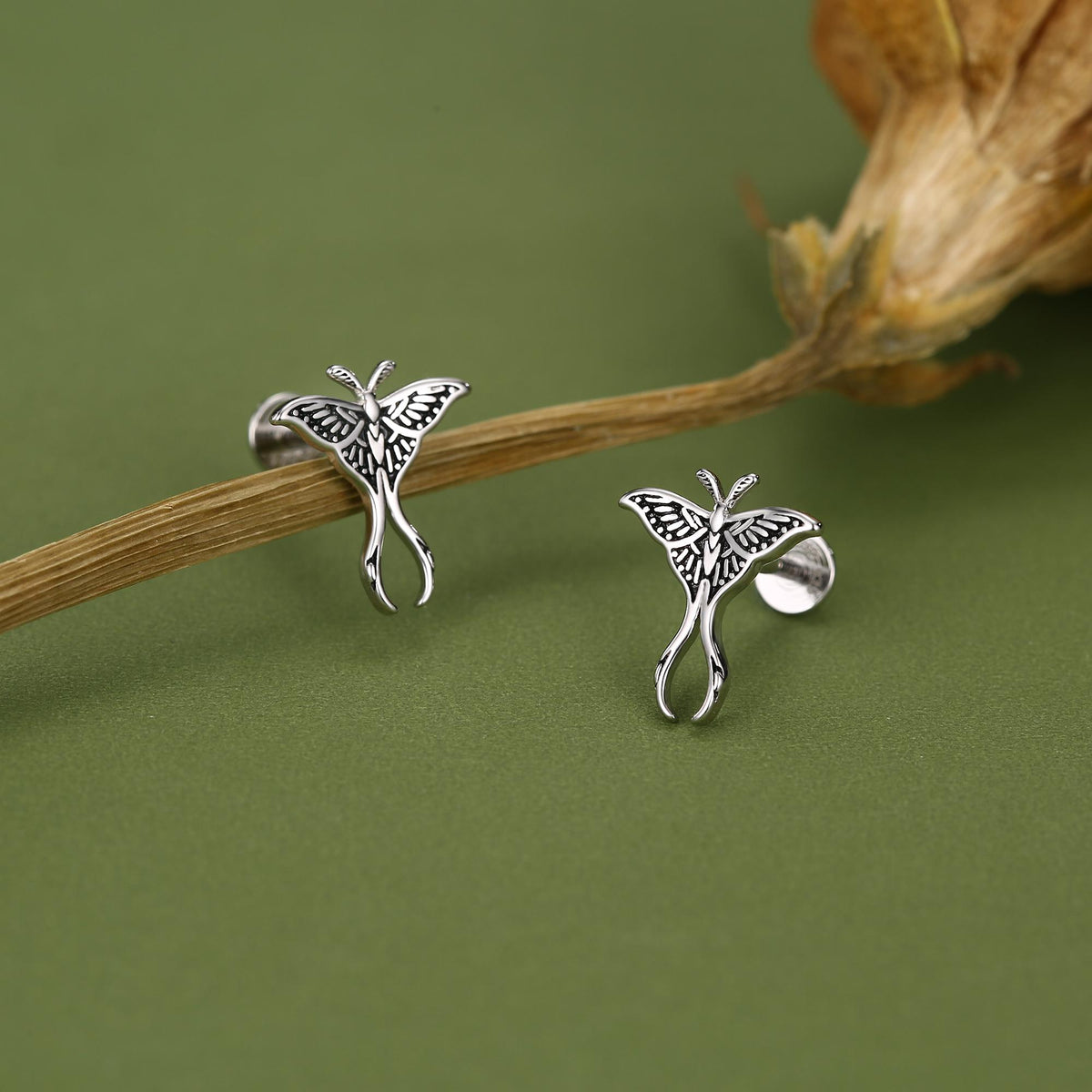 Sterling Silver Moth 16G Internally Threaded Flat Back Earrings