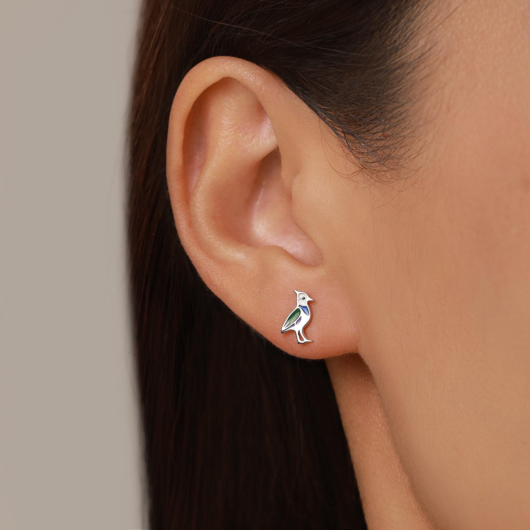 Sterling Silver Lapwing Enamel Bird Stud Earrings