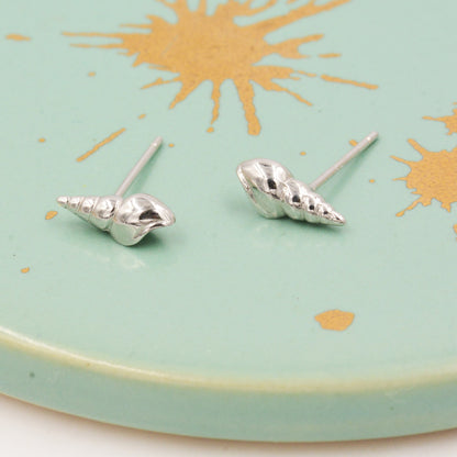 Seashell Earrings in Sterling Silver - Petite Auger Shell Stud - Pointy Shell - Sea, Ocean, Cute,  Fun, Whimsical