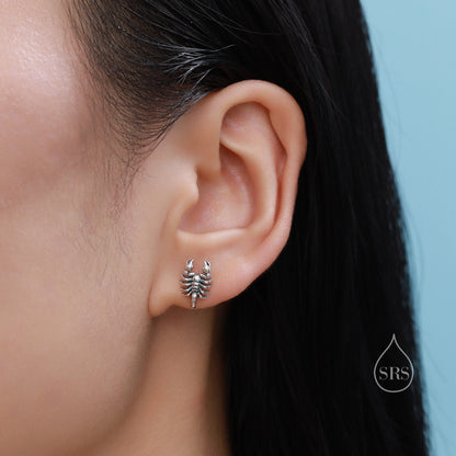 Tiny Scorpion Stud Earrings in Sterling Silver, Oxidised Finish, Scorpion Earrings